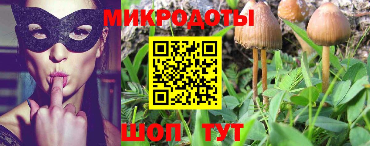 Галлюциногенные грибы MAGIC MUSHROOMS Звенигород